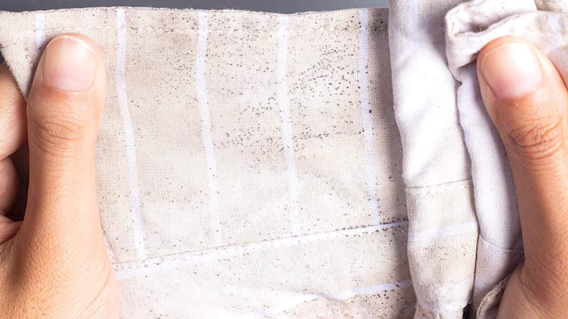Schimmel entfernen Kleidung DIY