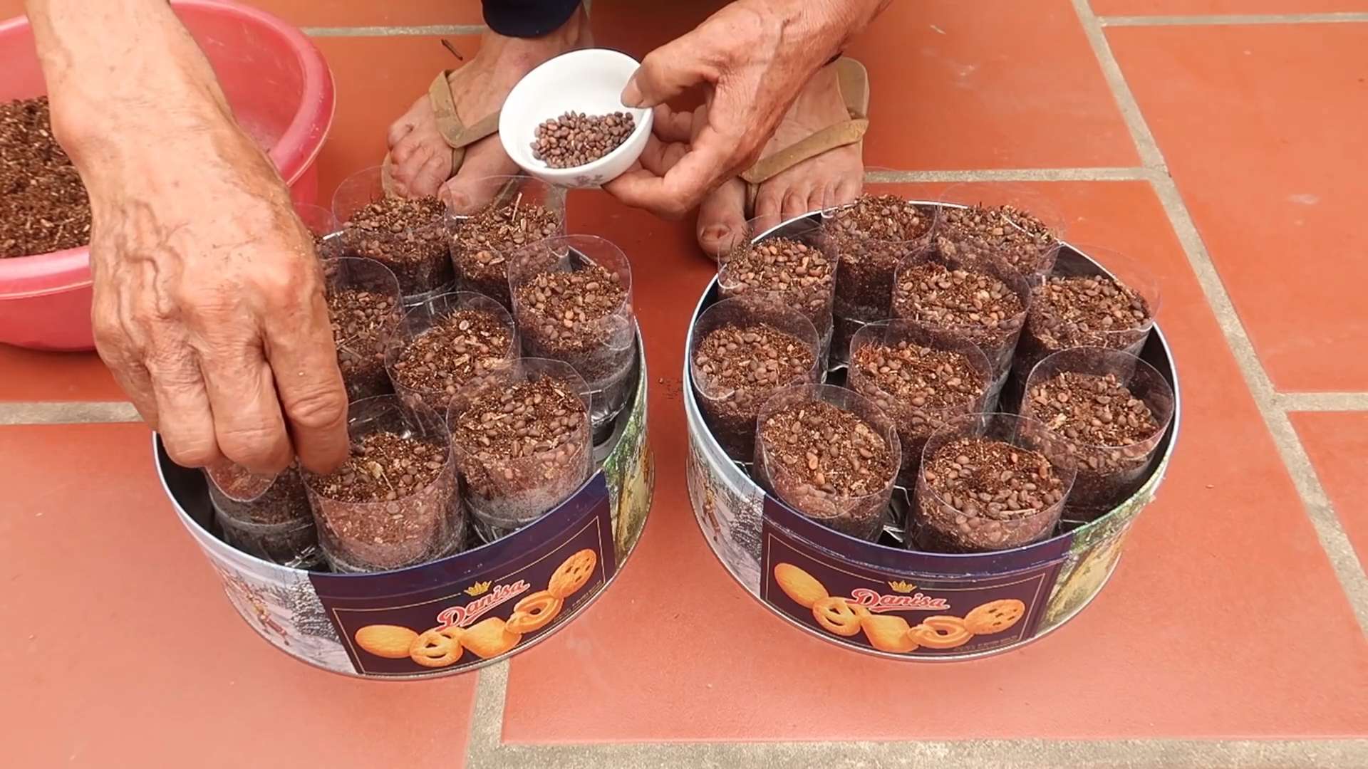 Spinatgarten aus Plastikflaschen bauen