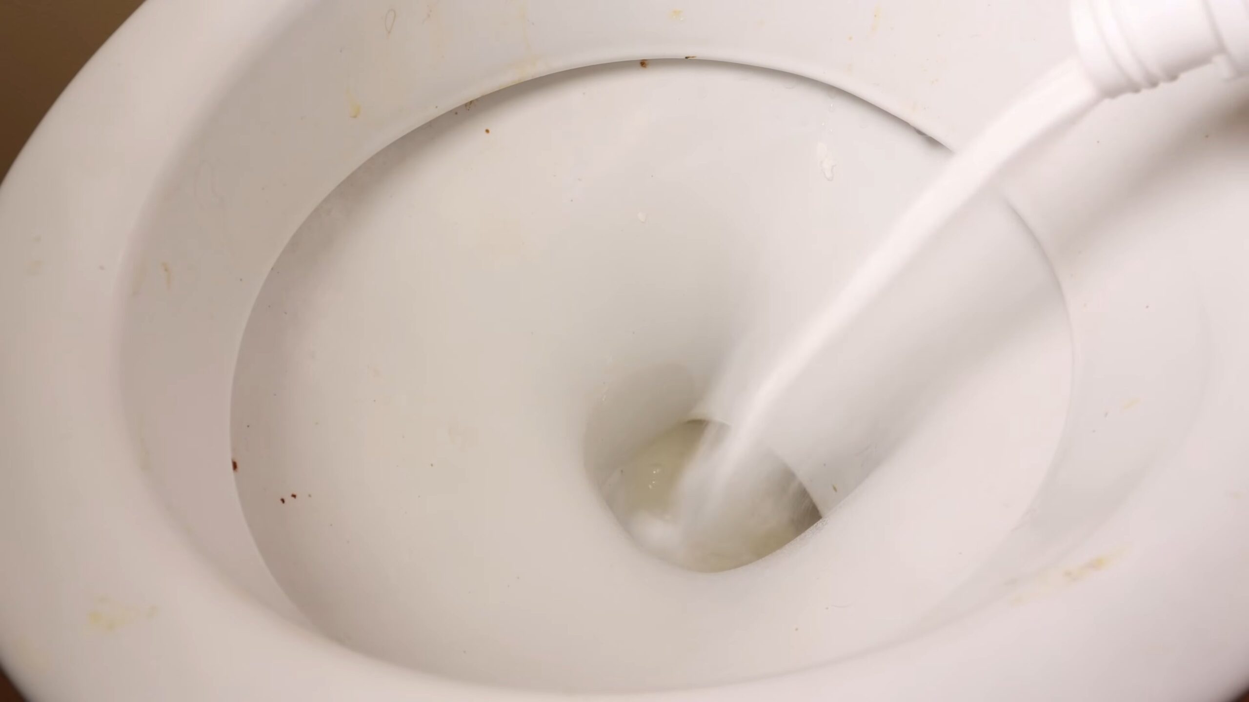 Toilette natürlich reinigen
